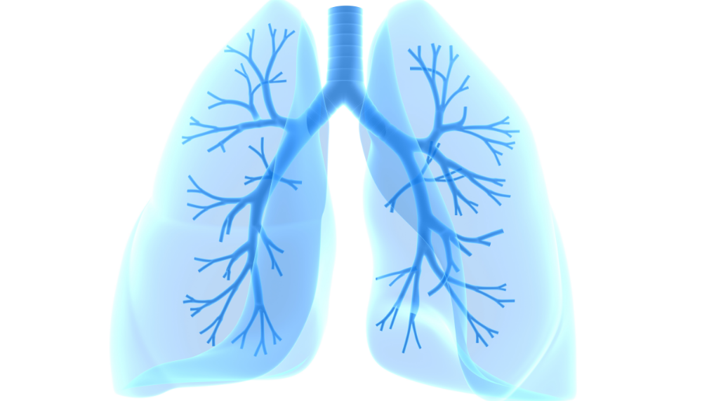 Is The Way You Breathe Helping or Hurting You?