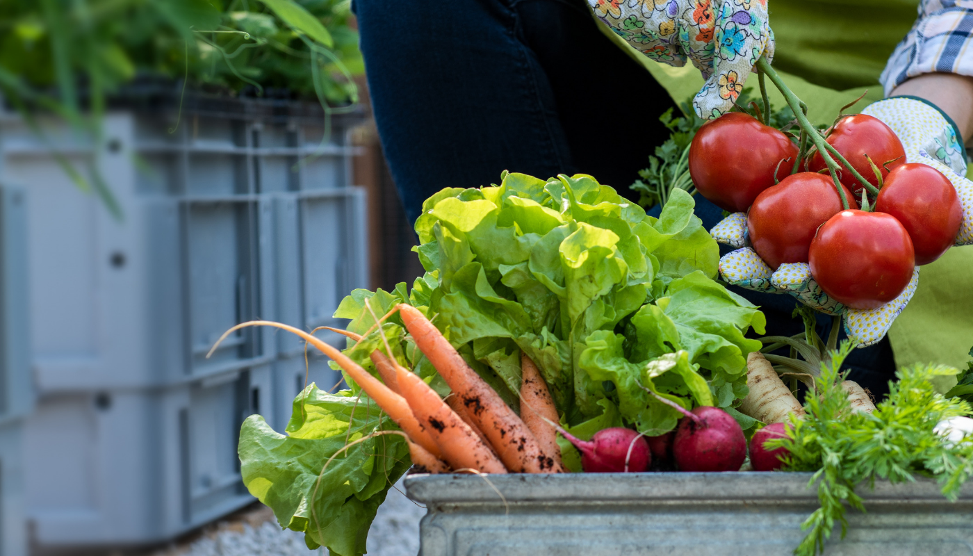 6 Reasons To Buy Organic