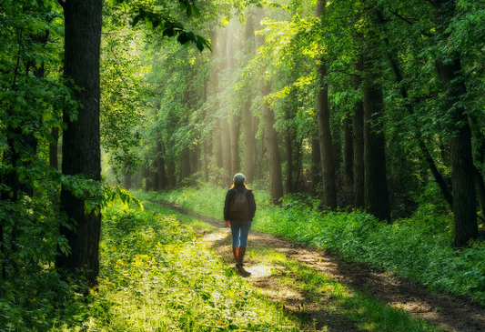 Lower Stress Naturally - The importance of nature in your life.