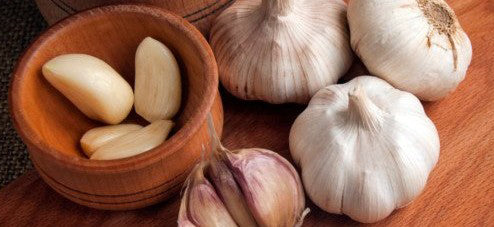 Health Benefits of Garlic