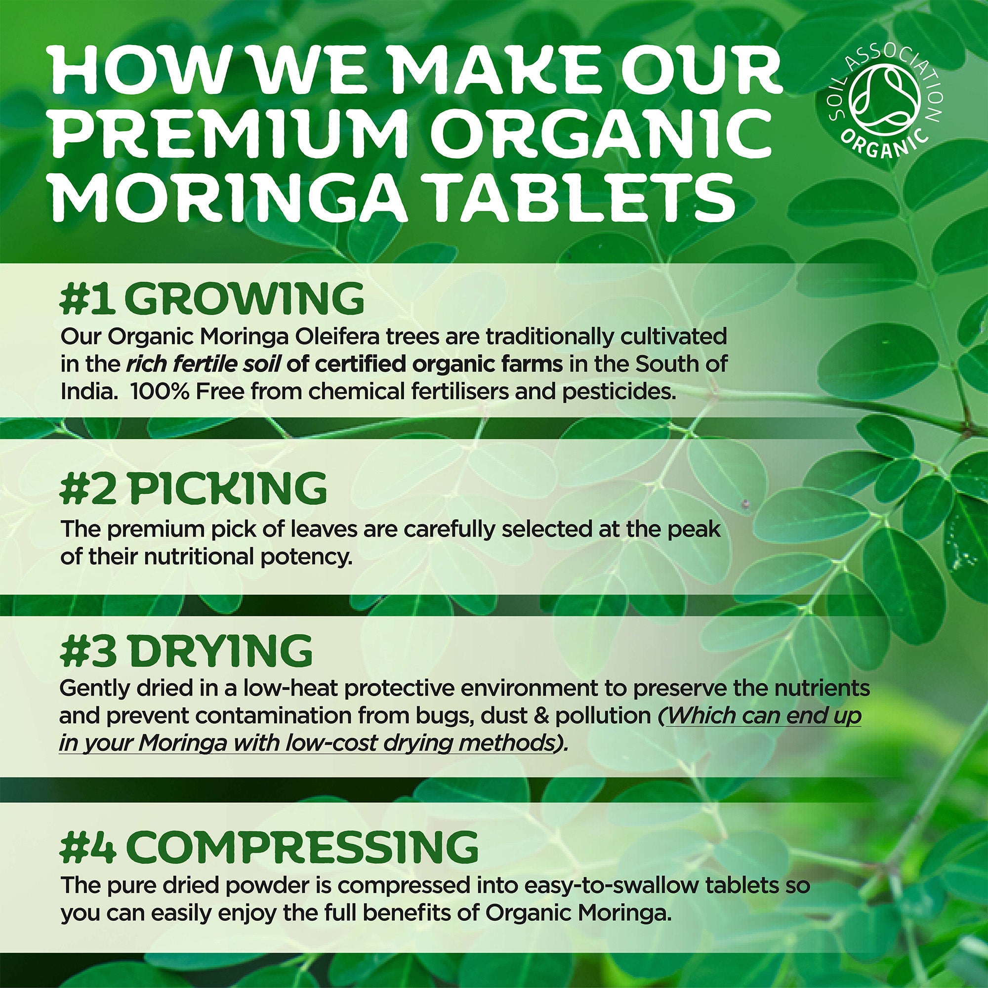 Organic Moringa Tablets (Subscription 20%)